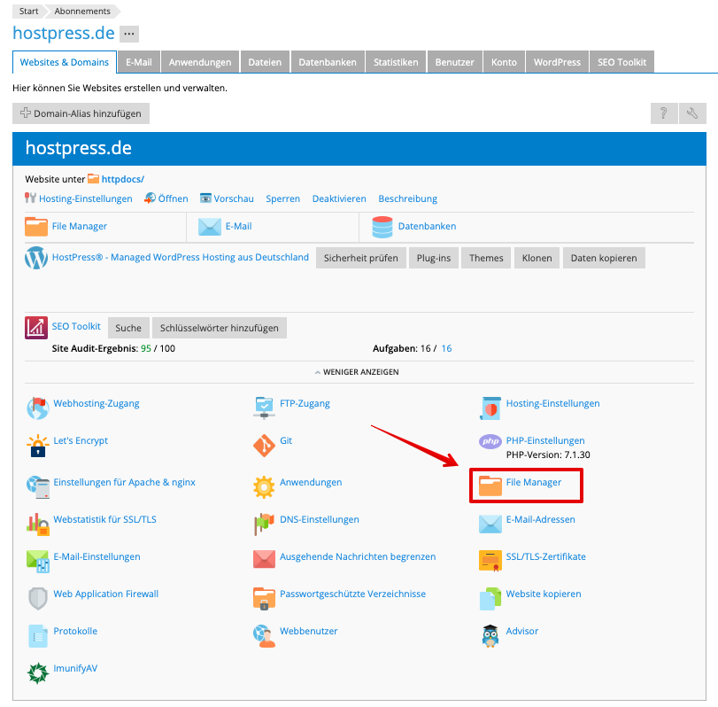 Screenshot: Plesk Controlpanel