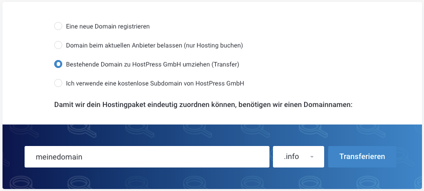 Screenshot: Bestellvorgang - Bestehende Domain transferieren